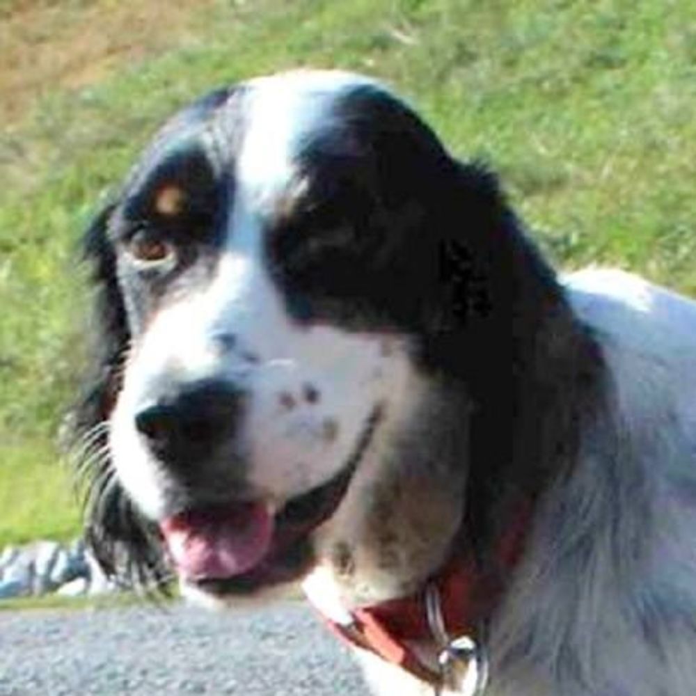 Meet your Posher, Heidi